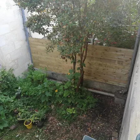 Hébergement de vacances Échoppe bordelaise avec jardin